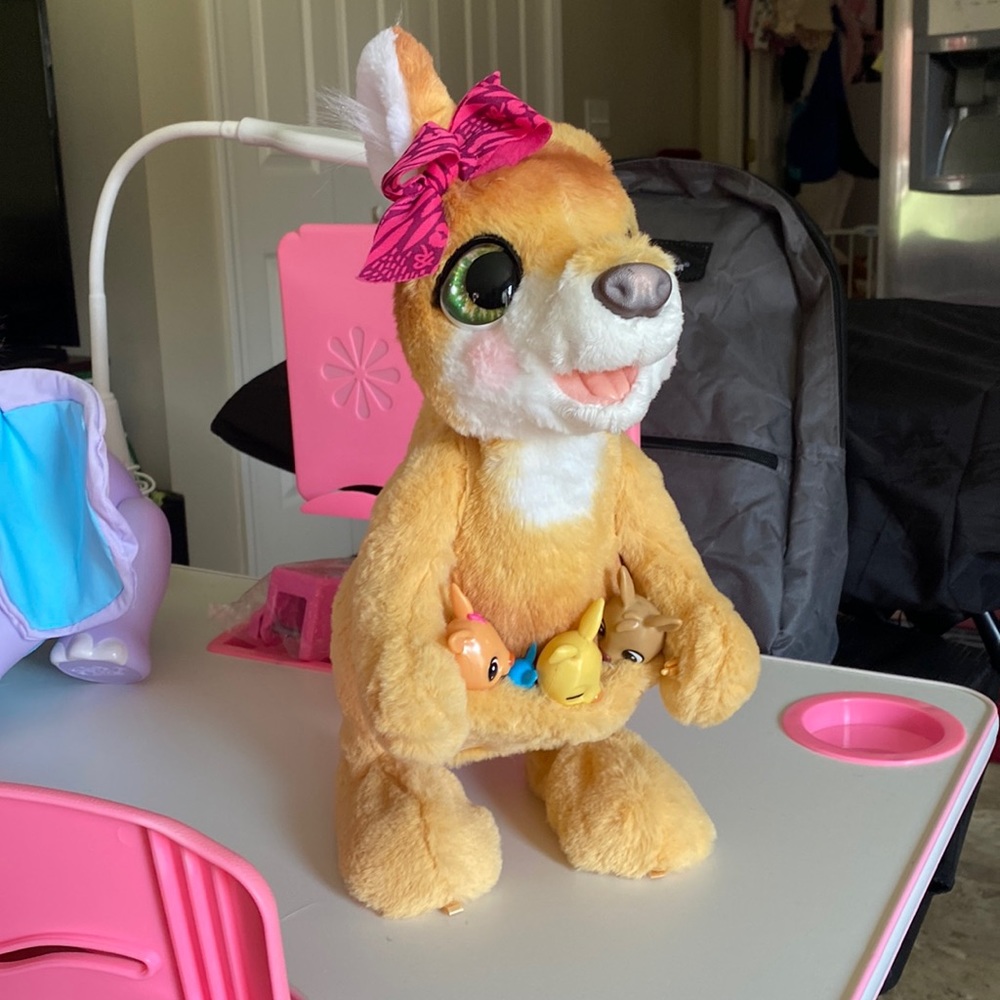 Kangaroo live pet “Mama Josie”